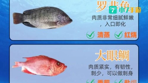 鱼类靠什么来平衡身体