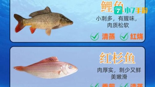 鱼类靠什么来平衡身体