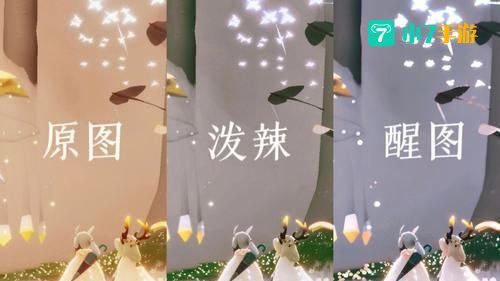 光遇荧光森林冥想
