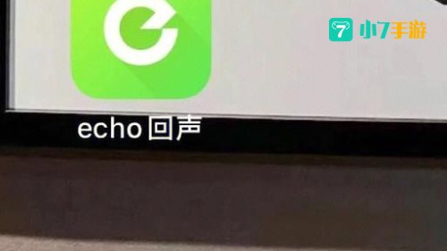 echo回声