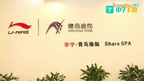 斑鸠组合